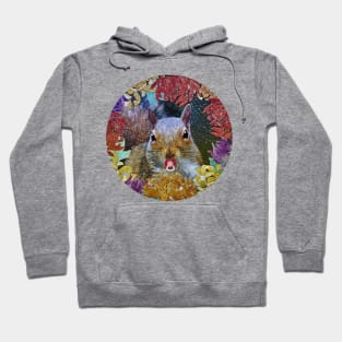 Squirrels with pacifierr funny Hoodie